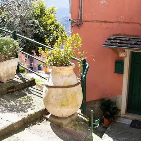 Le Di Petra Apartment Vignana